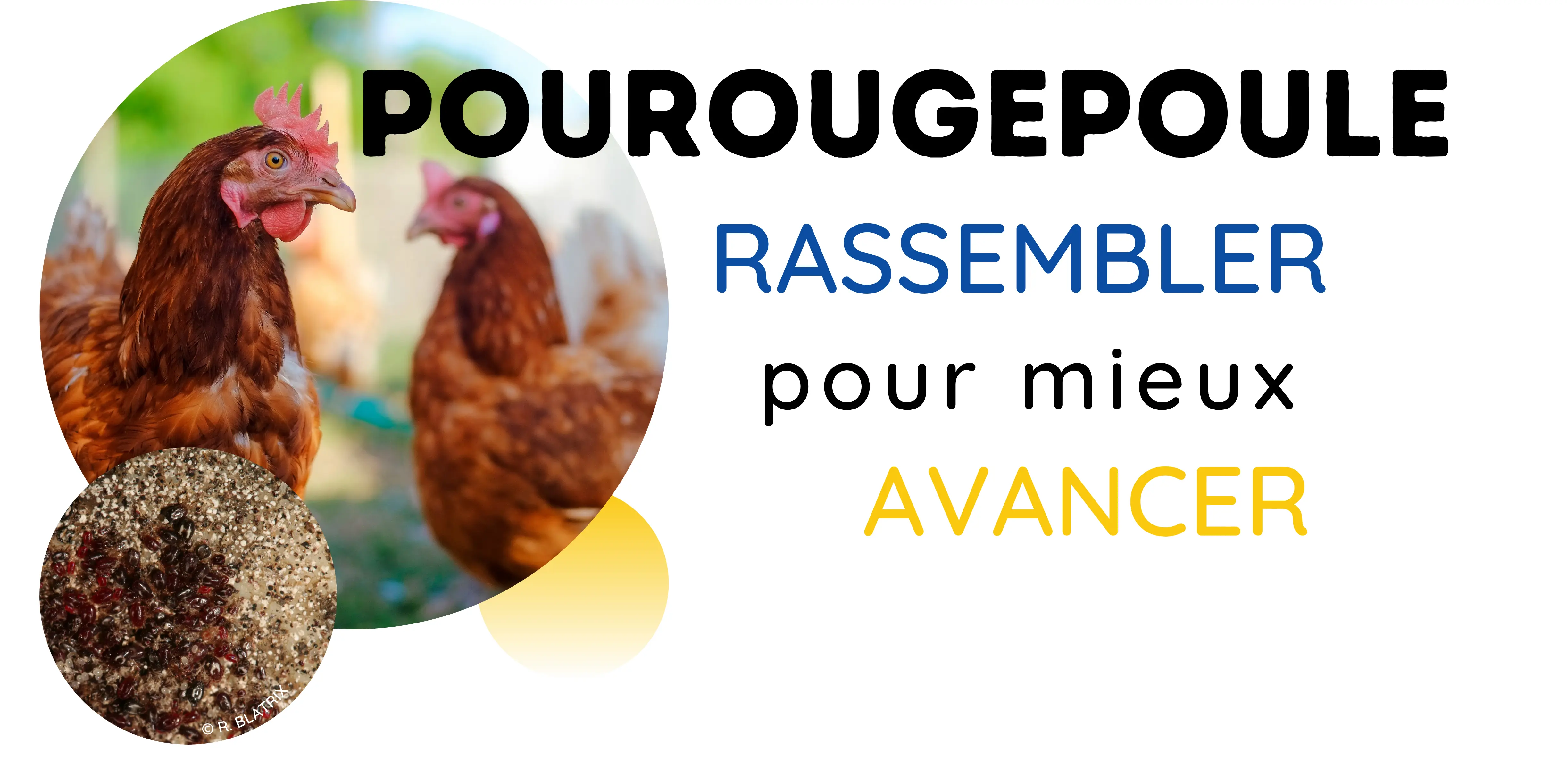 image accueil